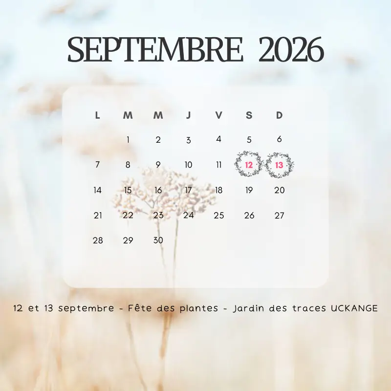 AGENDA EXPO SEPTEMBRE