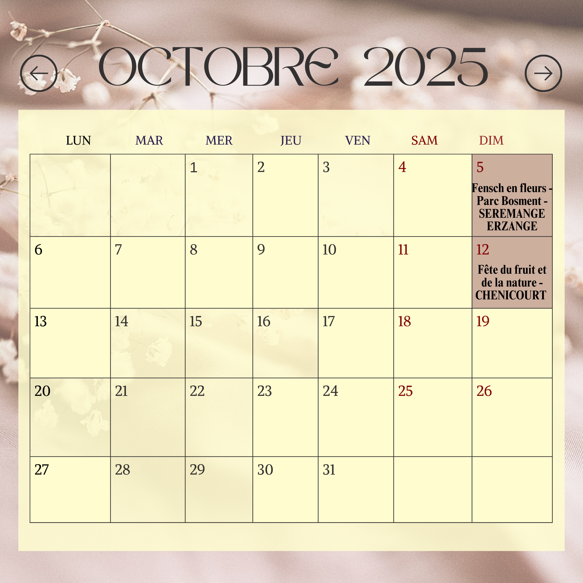 Agenda octobre 2025