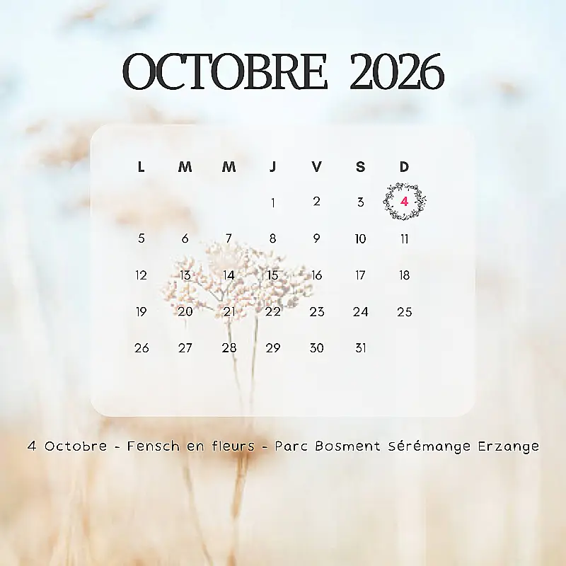 Agenda expo Octobre 2026