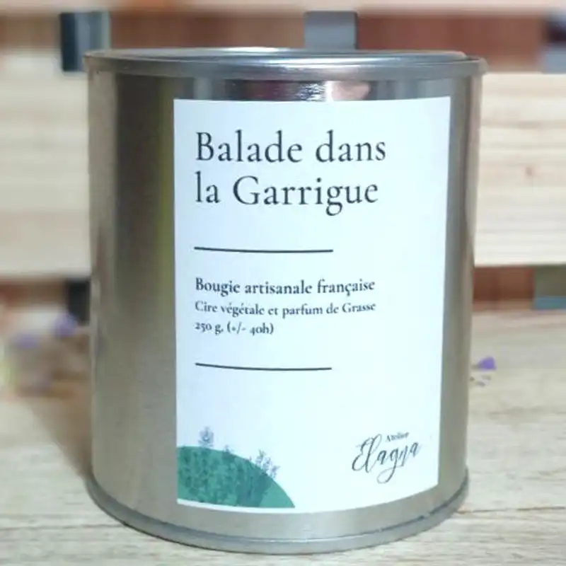 Balade-dands-la-garrigue-THYM-ROMARIN