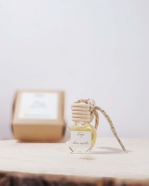 Diffuseur parfumé pour voiture mûres myrtilles