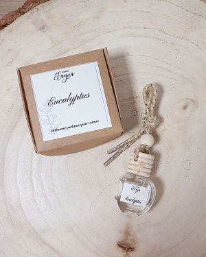 Diffuseur voiture senteur Eucalyptus