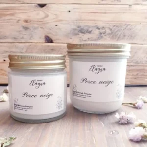 Grande-et-petite-perce-neige