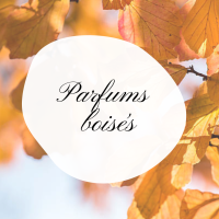 Parfums boisés Parfums boisés
