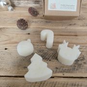 détails lots de 4 fondants pomme cannelle