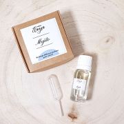recharge diffuseur voiture MOJITO